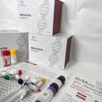 斑马鱼（Zebrafish）白细胞介素18（IL-18）ELISA检测试剂盒