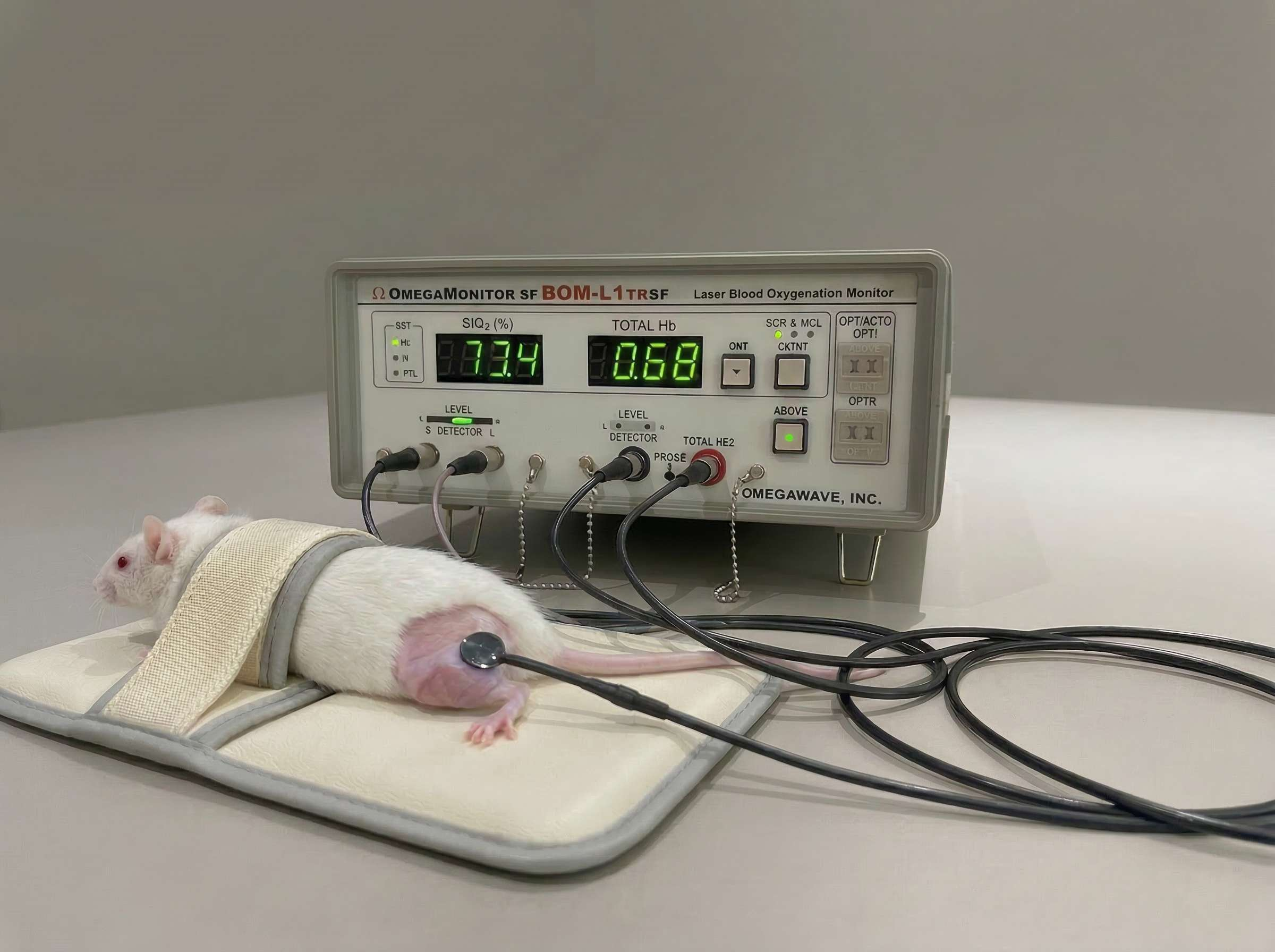 图片27.png