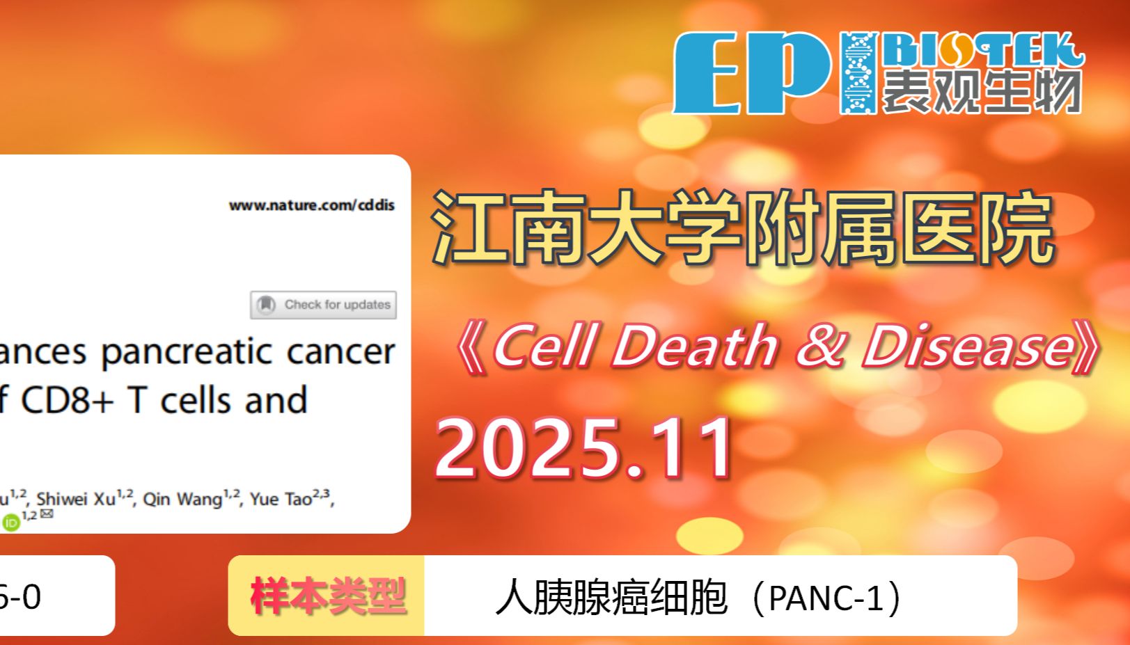 RNA修饰项目 | 靶向NAT10，ac4C修饰稳定ETS2与KRT8 mRNA促进胰腺癌进展