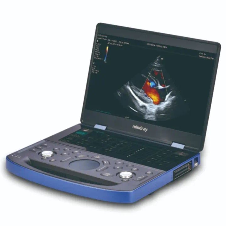 小动物超声检测服务