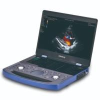 小动物超声检测服务