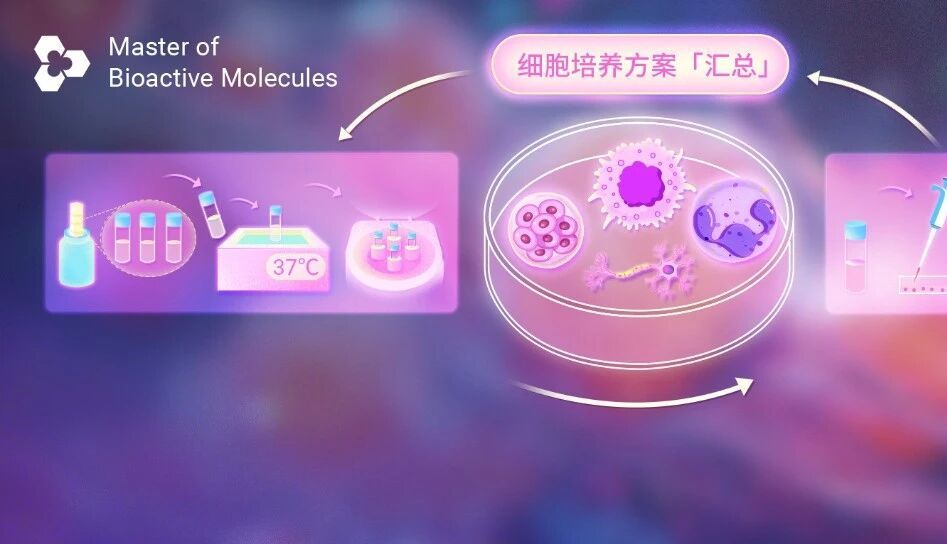 这里有 16 种常用实验细胞的培养方案