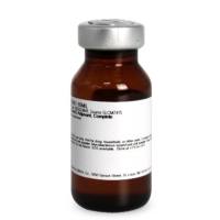 小鼠CD3/CD28 T细胞激活磁珠