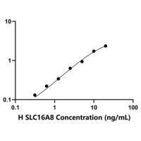人溶质载体家族16成员8(SLC16A8)ELISA试剂盒