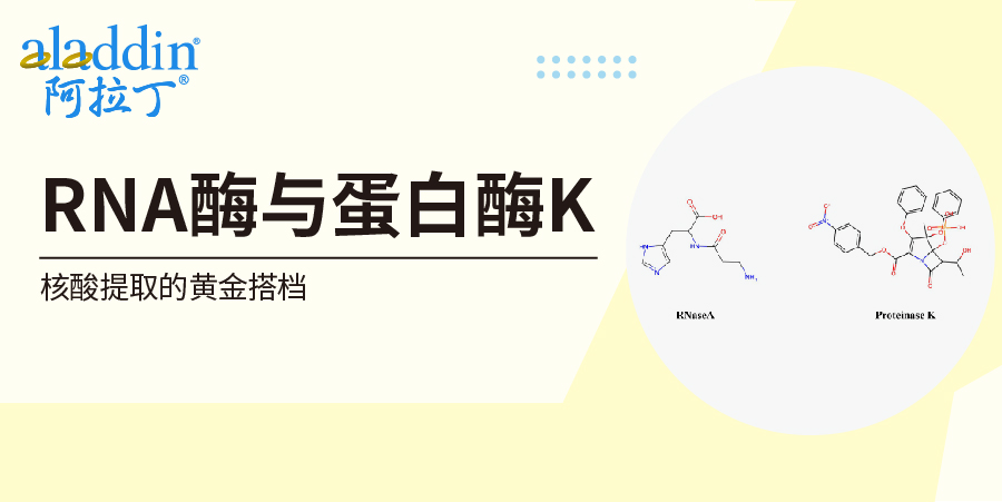 【阿拉丁】科普 | 核酸提取"双剑客"：RNase A &amp; 蛋白酶K的完美协作