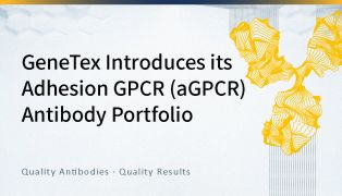 GeneTex 粘附型 GPCR (aGPCR) 抗体系列产品