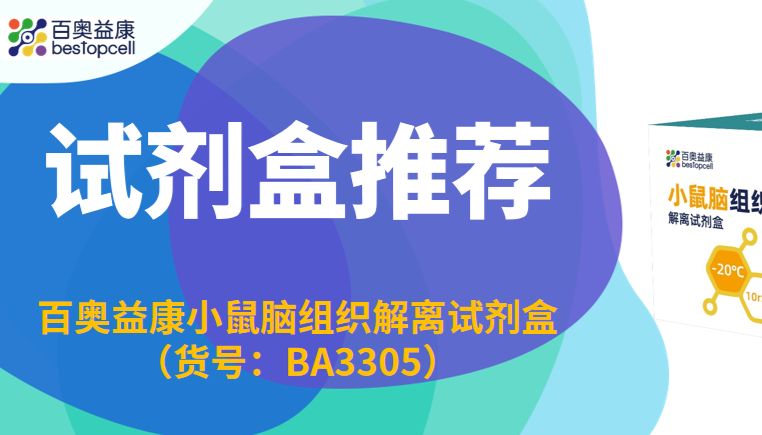 产品推荐 | 神经科研利器！百奥益康小鼠脑组织解离试剂盒，轻松解锁高活性单细胞悬液