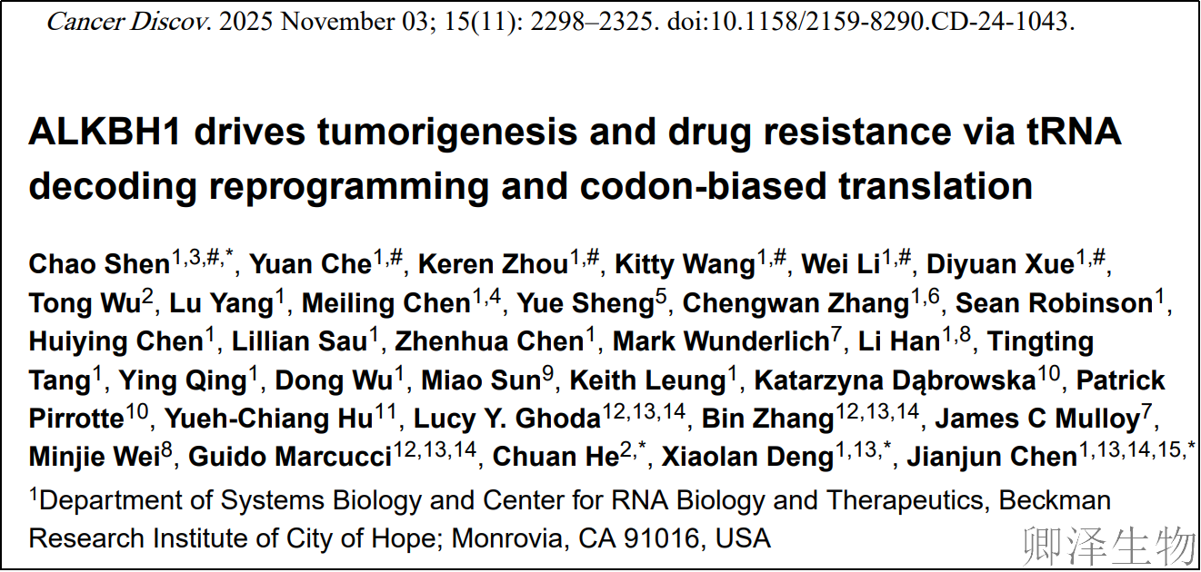 【改写tRNA的“分子点金手”】 | ：AML耐药背后的翻译密码被破译