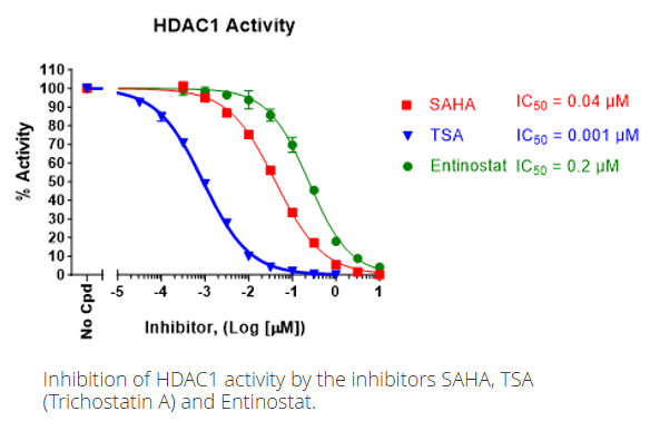 HDAC1荧光检测试剂盒:现货促销,实验不耽误 HDAC1荧光检测试剂盒:现货促销,实验不耽误
