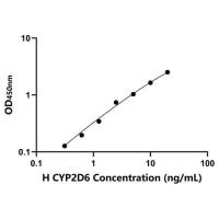 人细胞色素P450家族成员2D6(CYP2D6)ELISA试剂盒