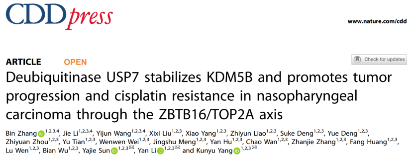 客户佳作｜去泛素化酶USP7通过ZBTB16/TOP2A轴稳定KDM5B，促进鼻咽癌进展及顺铂耐药