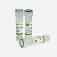 Biodragon博奥龙WB明星产品B1002现货促销Myc-Tag(3E8) Mouse Monoclonal Antibody博奥龙Biodragon独家总代理19121878899上海睿安生物