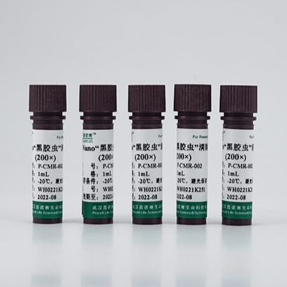 黑胶虫”清除试剂（500×）