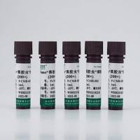 黑胶虫”清除试剂（500×）