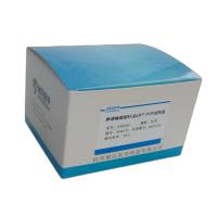 化脓性链球菌(酿脓链球菌)探针法荧光定量PCR试剂盒