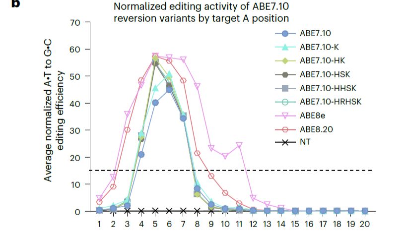 基因编辑“做减法”：逆向突变造就更精准高效的碱基编辑器