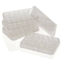 Nunc货号140660插入式细胞培养皿(已灭菌)孔径大小0.4μm上海睿安生物19121878899