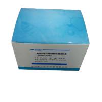 对虾急性肝胰腺坏死病（AHPND/EMS）探针法荧光定量PCR试剂盒