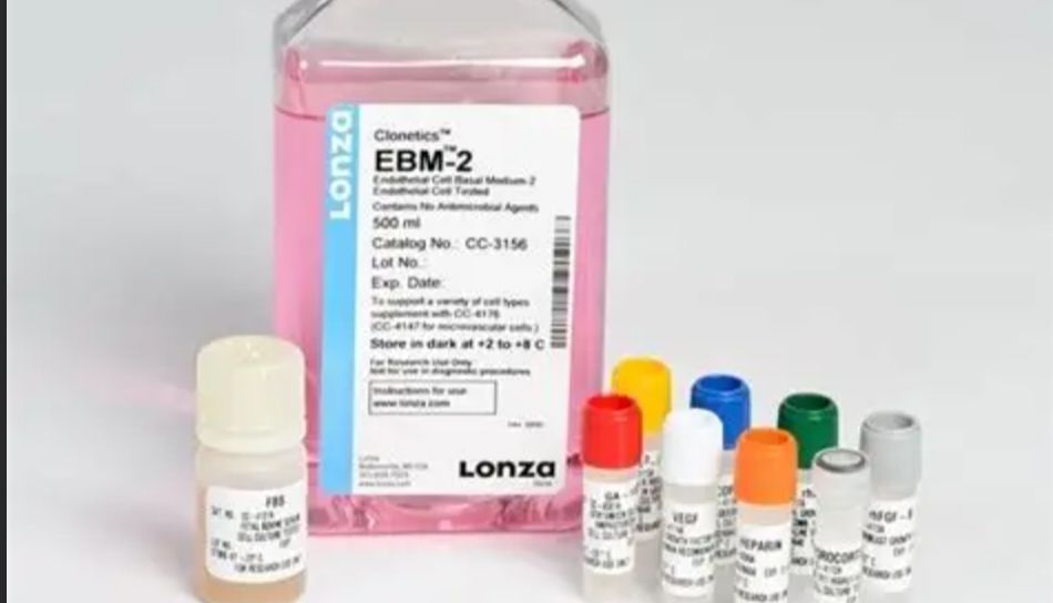 Lonza CC-3162 EGM™-2 BulletKit™ 培养基套装，华雅思创生物现货技术双保障