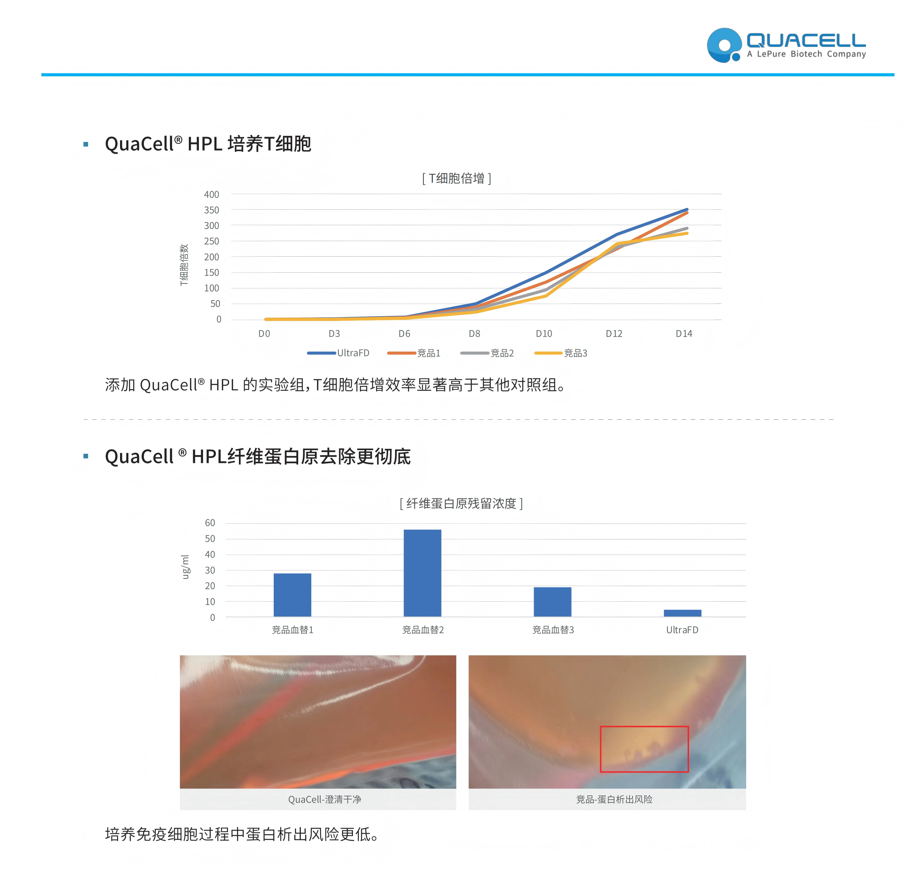 QuaCell® UltraFD HPL-GMP彩页_02无.png