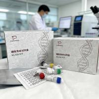 鱼（Fish）甘油（Glycerol）ELISA检测试剂盒