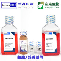 HEK293 / uGFP (unstable GFP) Stable Cell Line HEK293 / uGFP (unstable GFP) Stable Cell Line