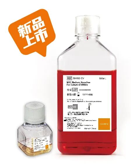 无血清、无异源、稳定可控：康宁MSC Culture Kit，助力间充质基质细胞培养全流程