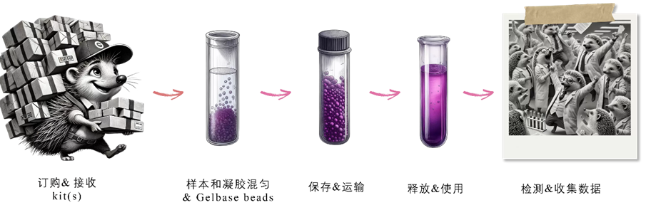 Atelerix产品大致使用流程