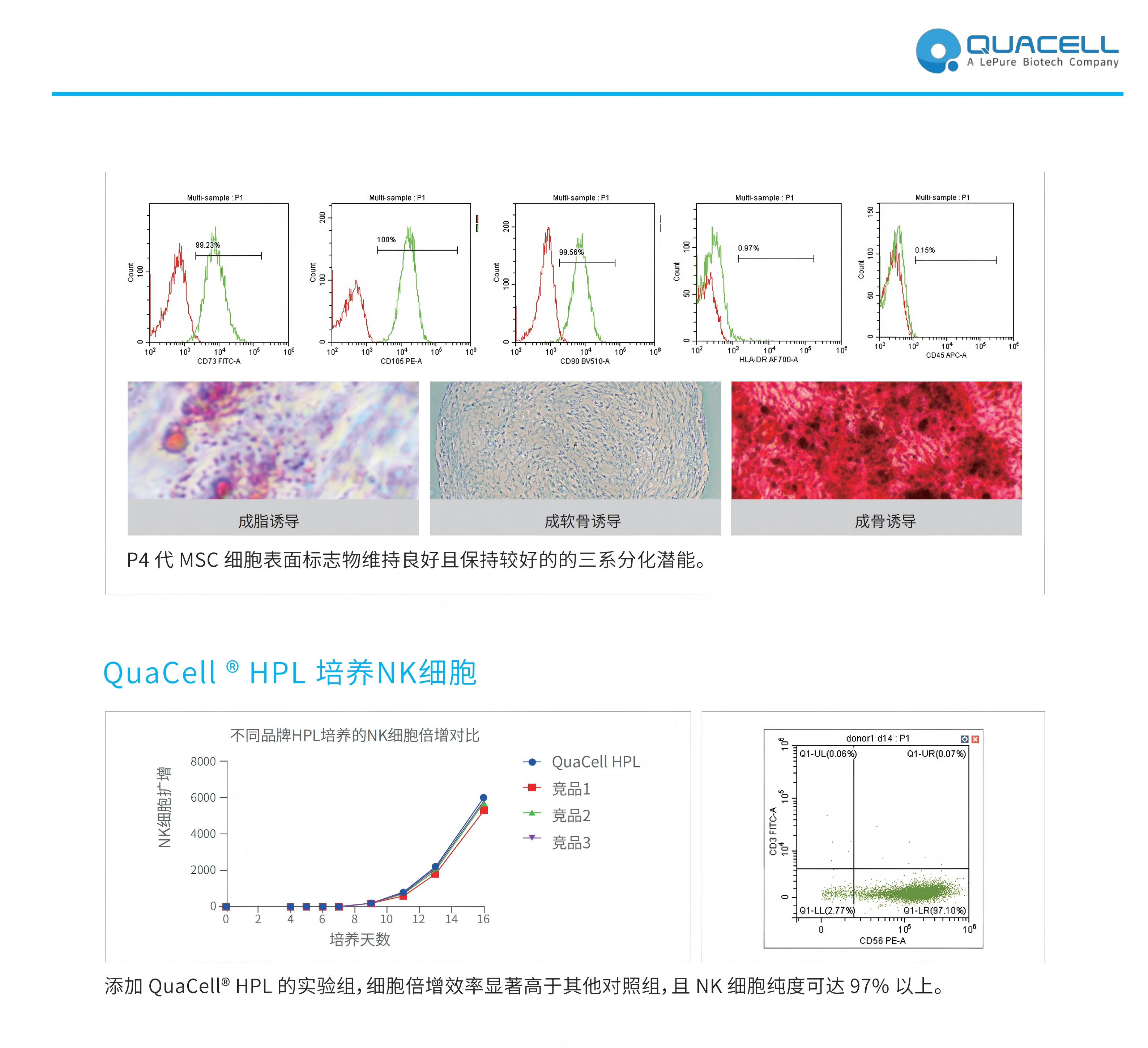 QuaCell® Advanced HPL-GMP彩页