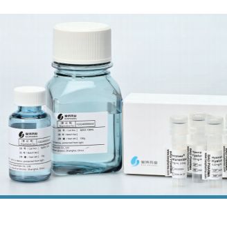 重组人透明质酸酶(HYSORPTASE®)
