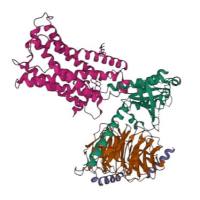 重组人CX3CR1蛋白 | Recombinant Human CX3CR1, His-tag, GST-tag