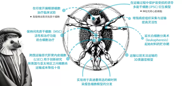 Atelerix产品应用部分成功案例