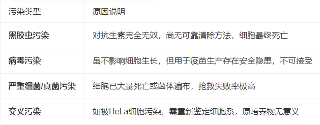 新闻图片1