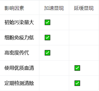 支原体污染对Vero细胞的影响多久会显现
