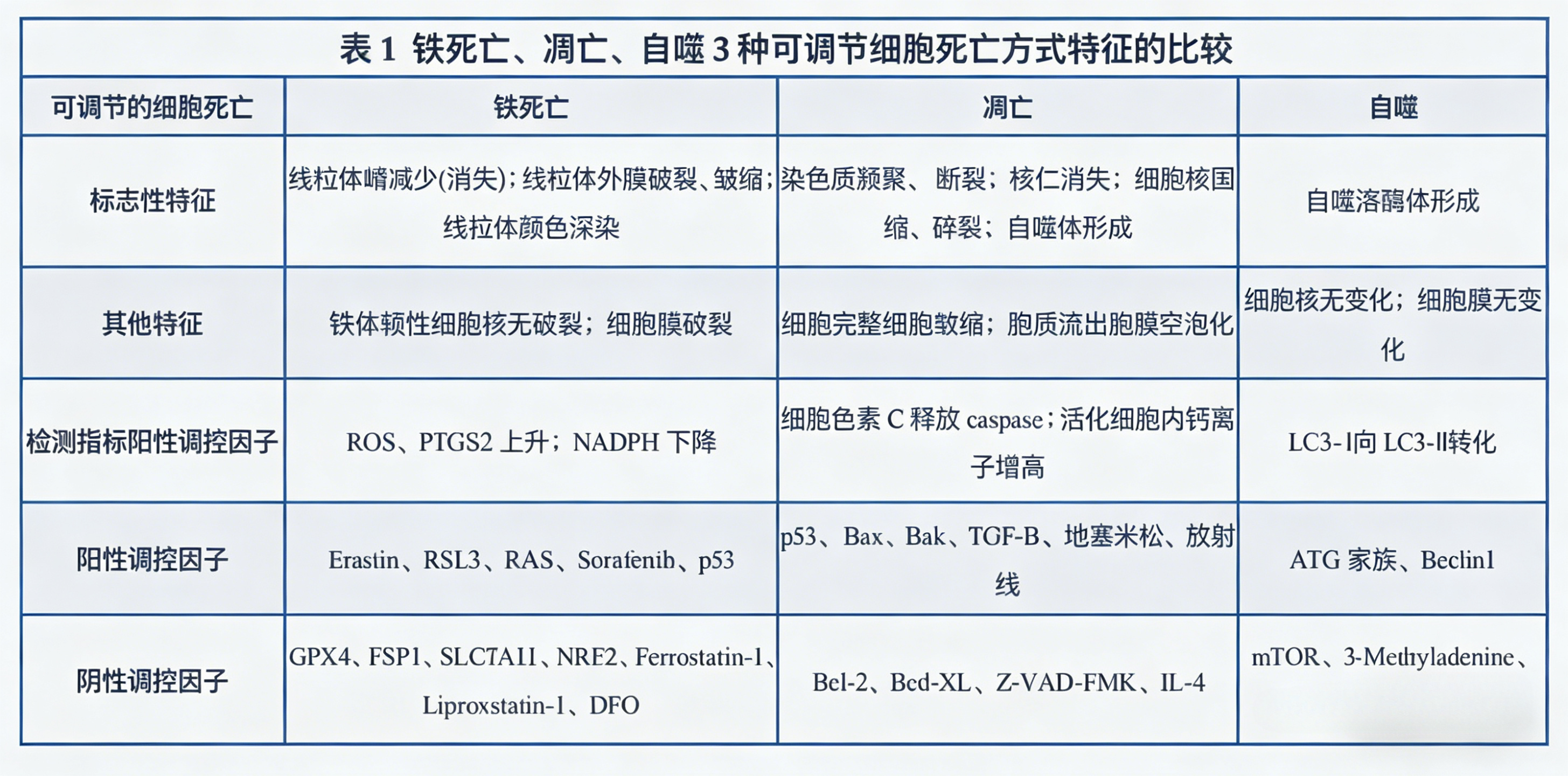 铁死亡的病理机制与疾病相关性研究