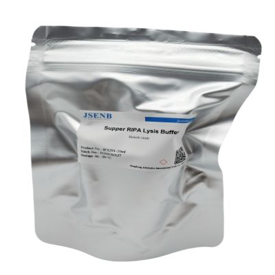 高效RIPA組織細胞快速裂解液
