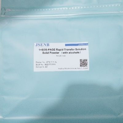 1×SDS-PAGE快速转膜液(干粉,需用乙醇)产品图