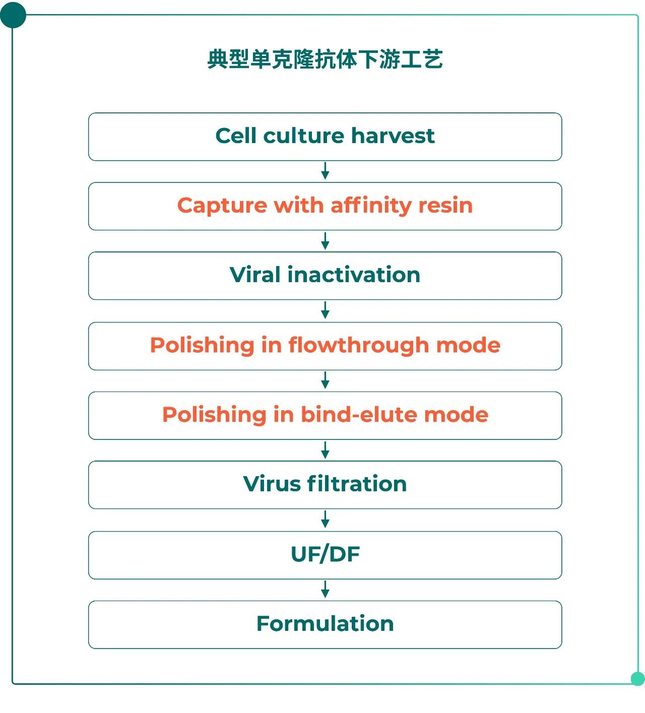 从滴度跨越到工艺强化：为何柱层析依然是抗体纯化的压舱石？