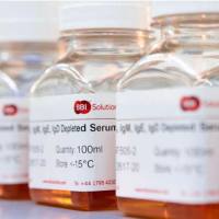 BBI 金胶体与偶联物