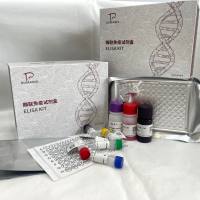 环孢素A（CsA）ELISA检测试剂盒