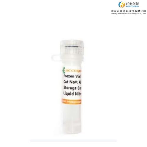 HT-55 人结直肠腺癌细胞