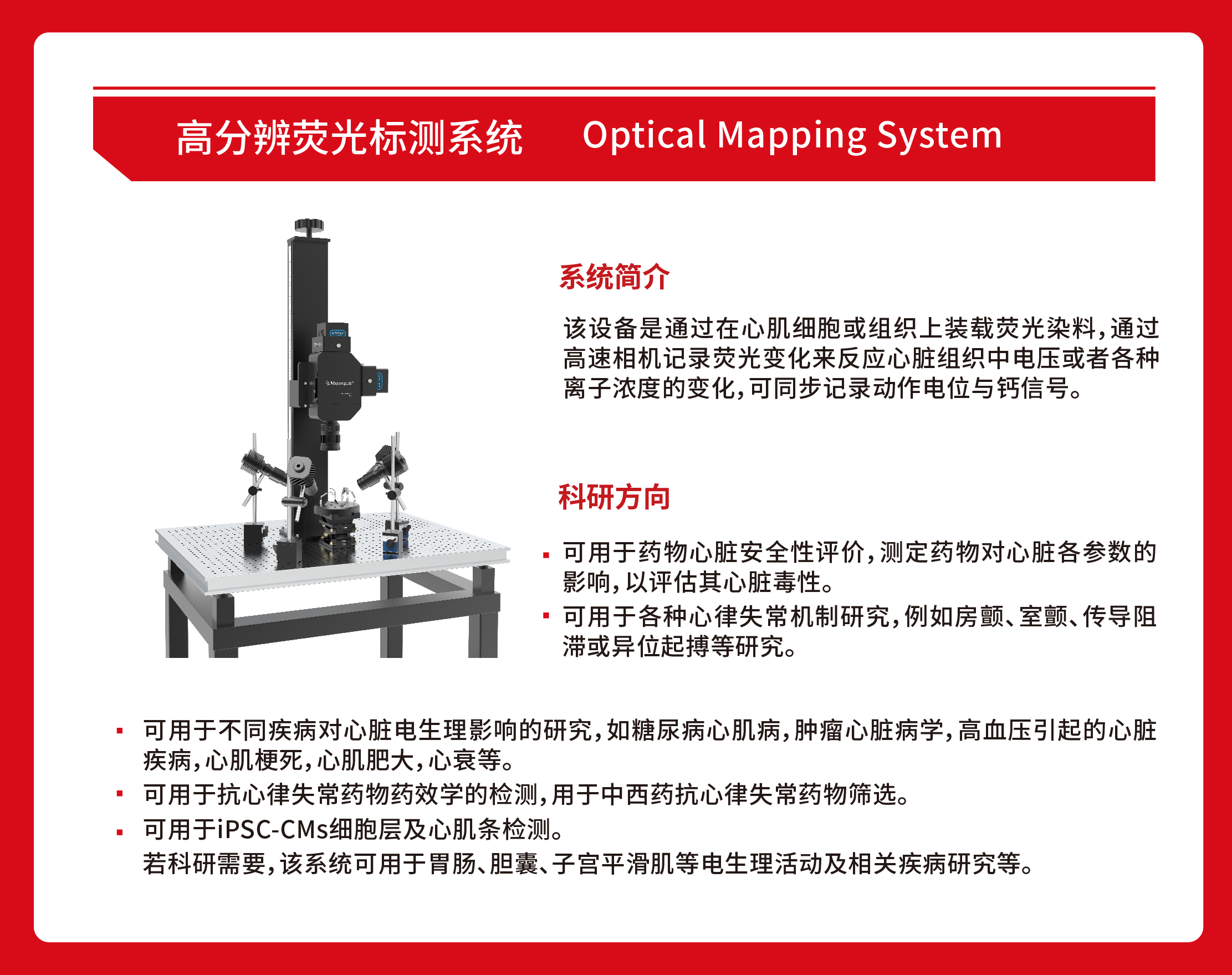离体脑片钙信号检测的荧光标测新方案