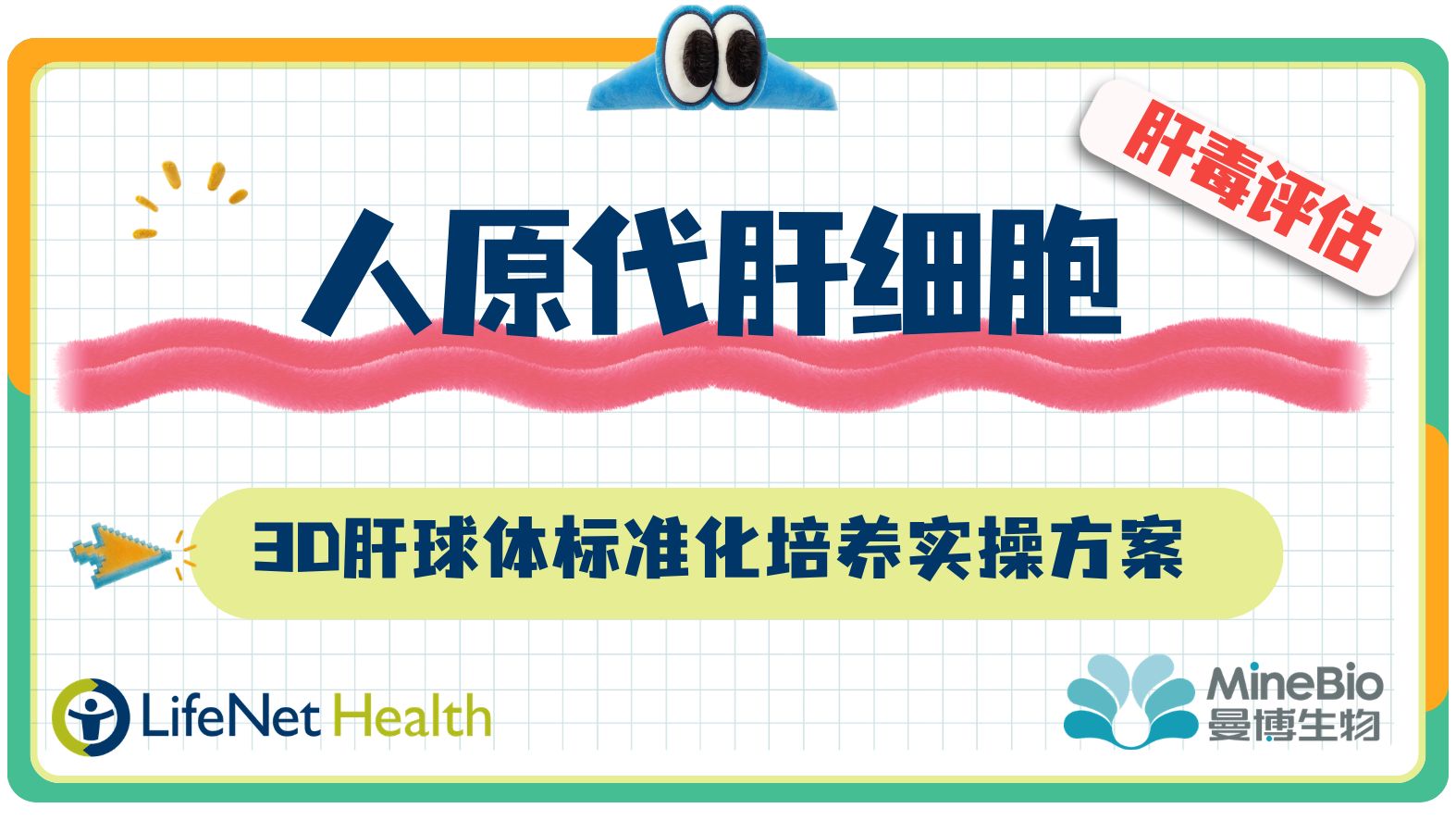 LifeNet Health｜人原代肝细胞3D肝球体标准化培养实操方案