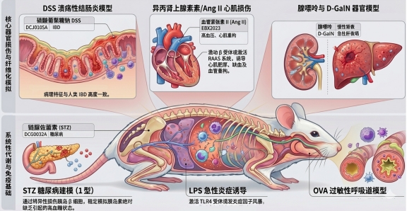 新闻图片1