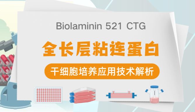 Biolaminin 521 CTG细胞治疗级别培养基质｜干细胞培养应用技术解析