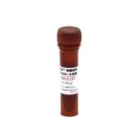 EzRed™ 核酸染料（10,000×水溶液）（无毒）