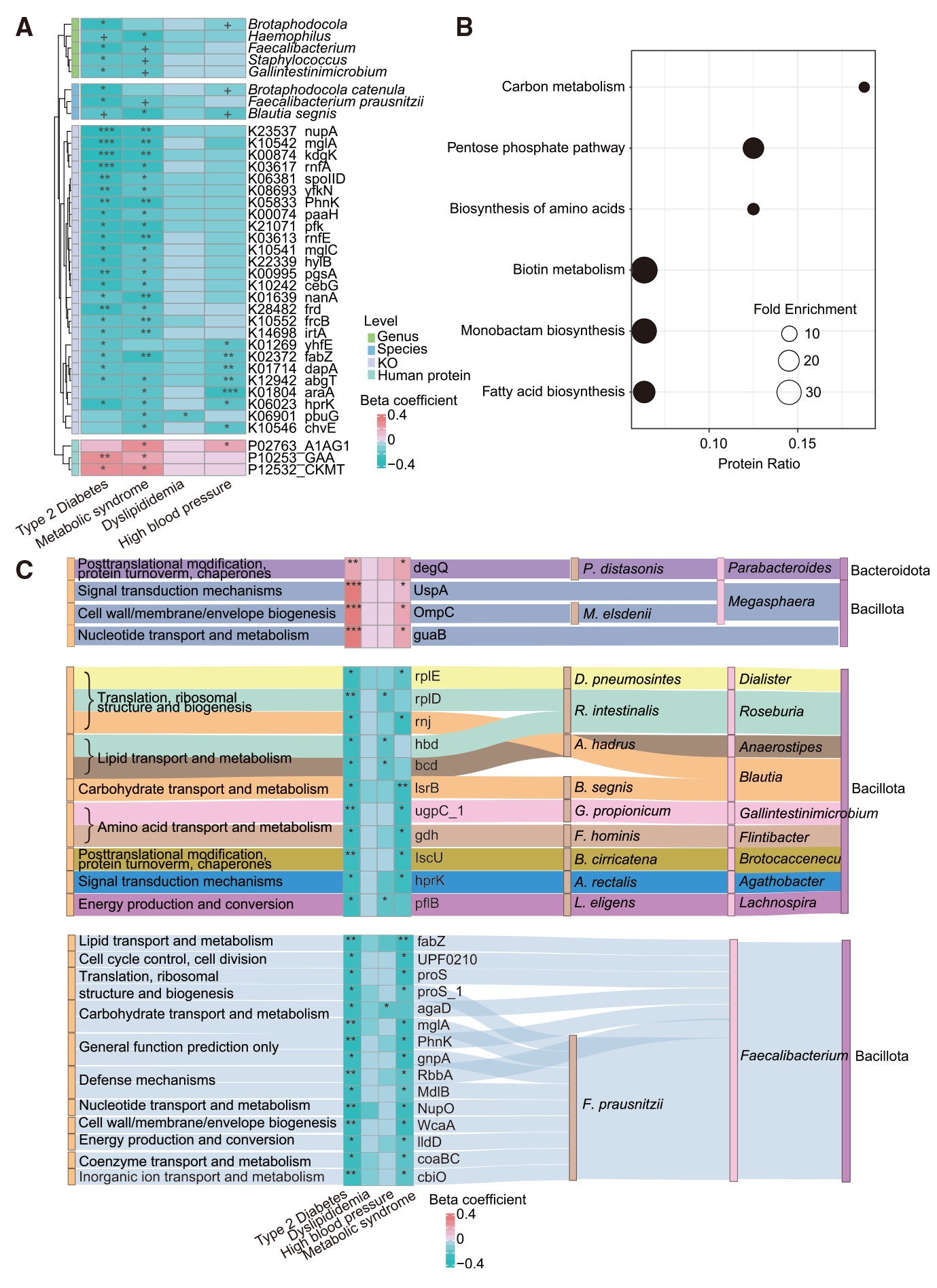 Cell Metab | 从人群发现到机制验证！西湖大学联合中山大学千人队列构建肠菌蛋白图谱并揭示代谢疾病与衰老新靶点！ - 文献解读 - 丁香通