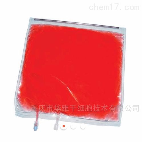 OriGen PL70-2G PermLife - 细胞培养袋 【1个/包,30包/盒】
