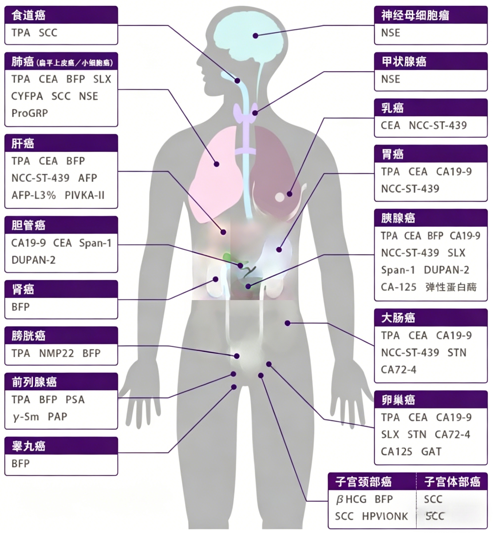【每日皆可乐】生物标志物筛选的相关研究与技术