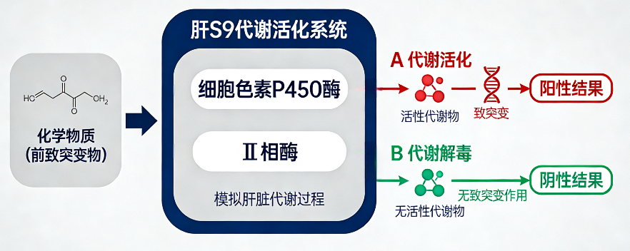 代谢π析 4-1.png